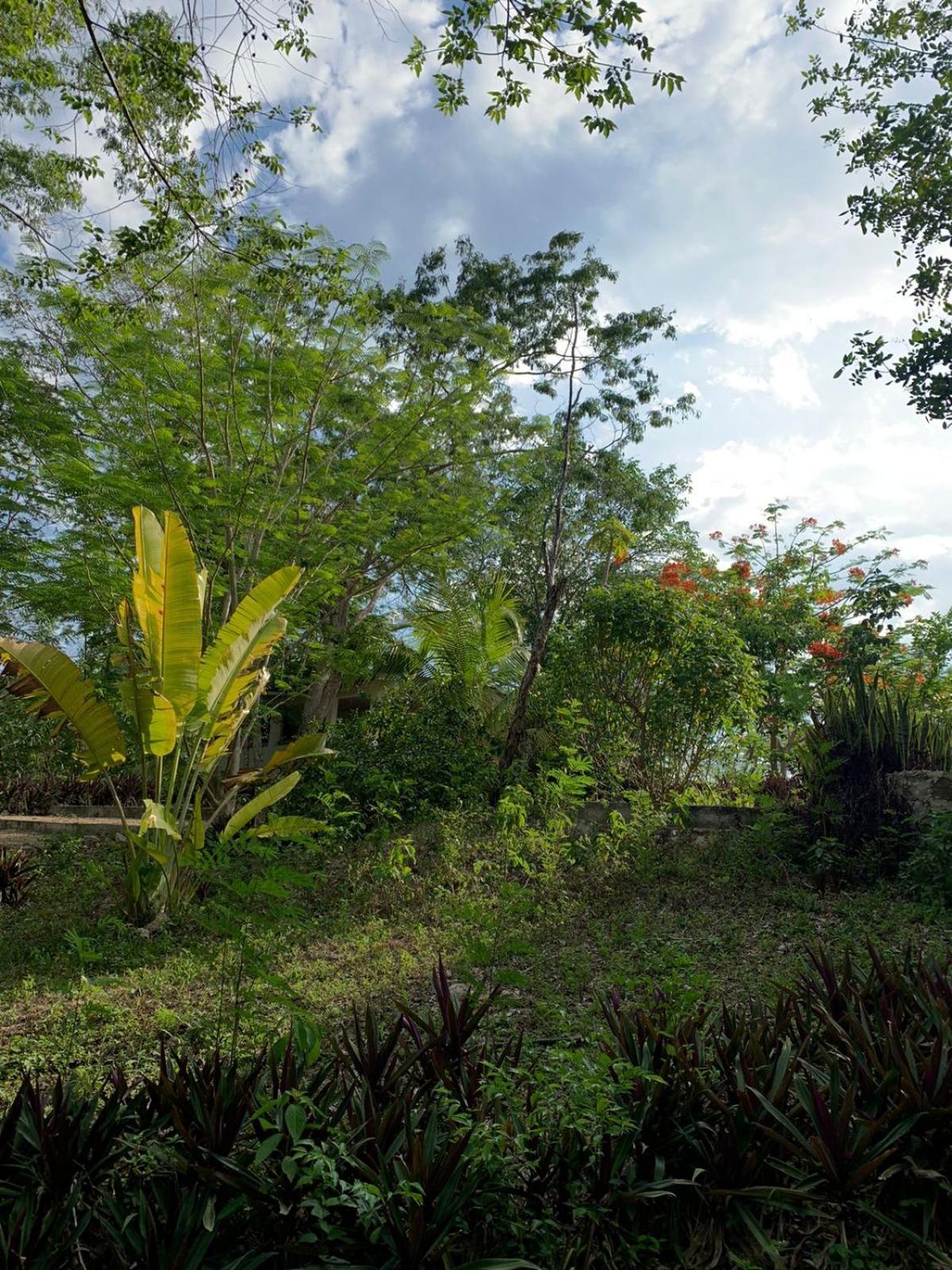 El Encanto - Hotel Boutique Chichen-Itza Bagian luar foto