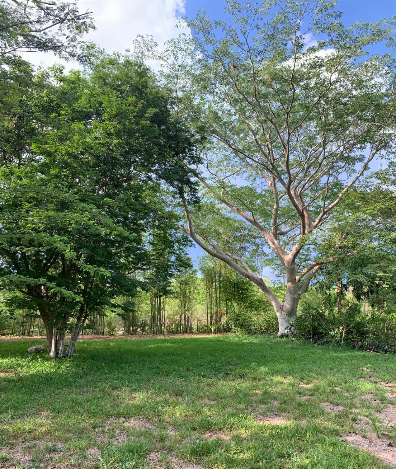 El Encanto - Hotel Boutique Chichen-Itza Bagian luar foto