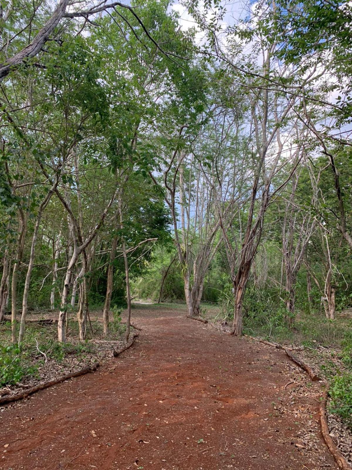 El Encanto - Hotel Boutique Chichen-Itza Bagian luar foto